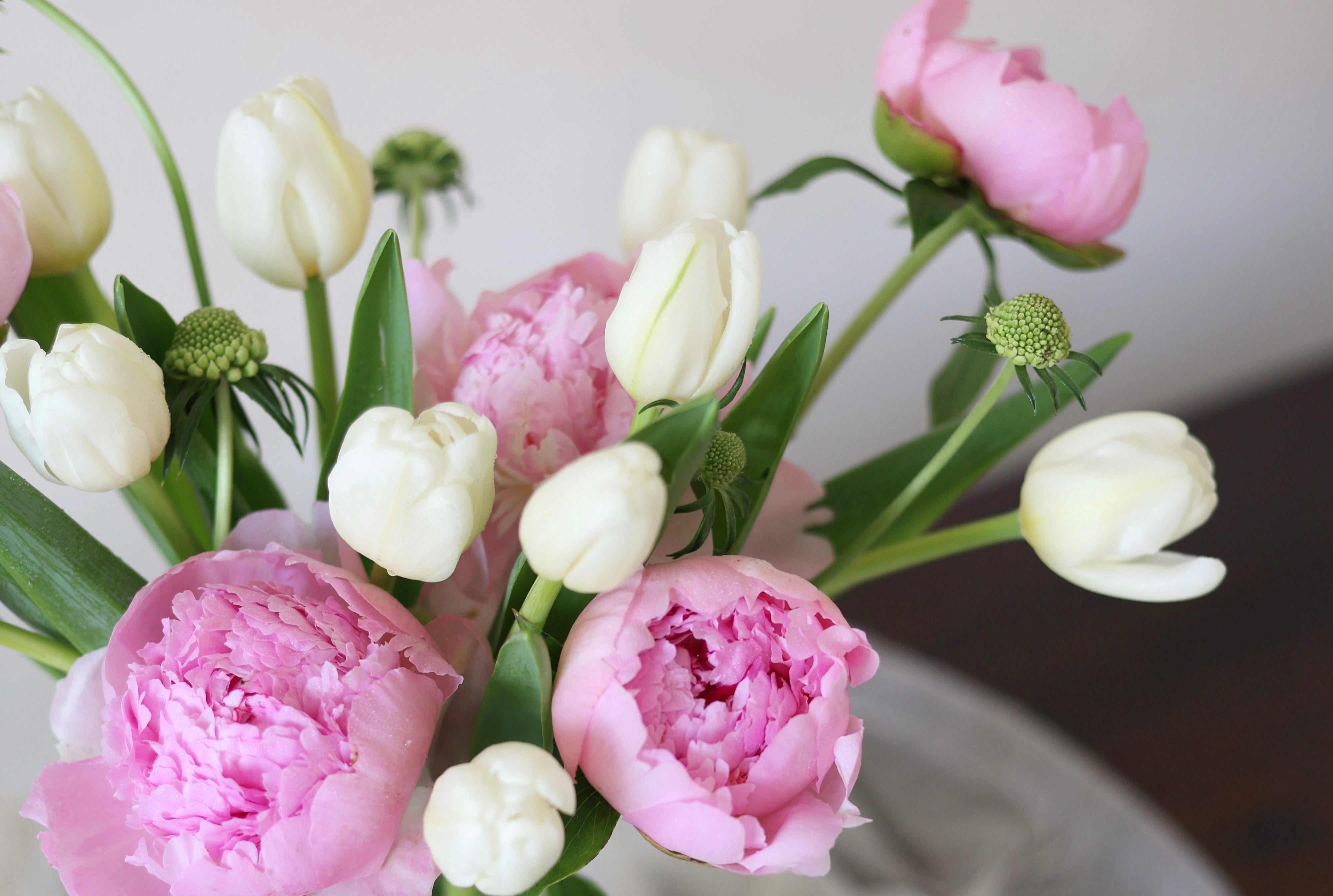 How to Choose the Perfect Flowers for Every Occasion