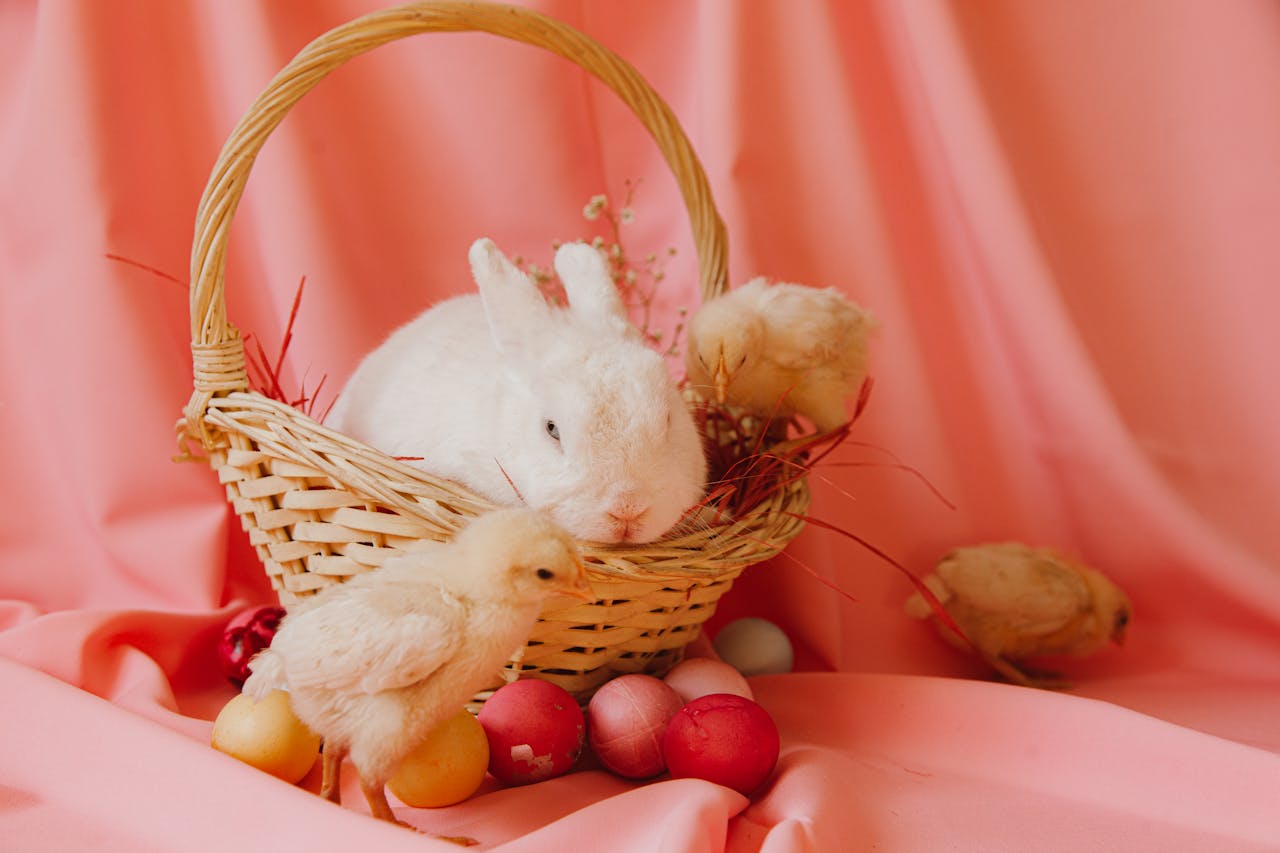 Blooms of Joy: 9 Ways To Welcome Spring To Your Easter Decor