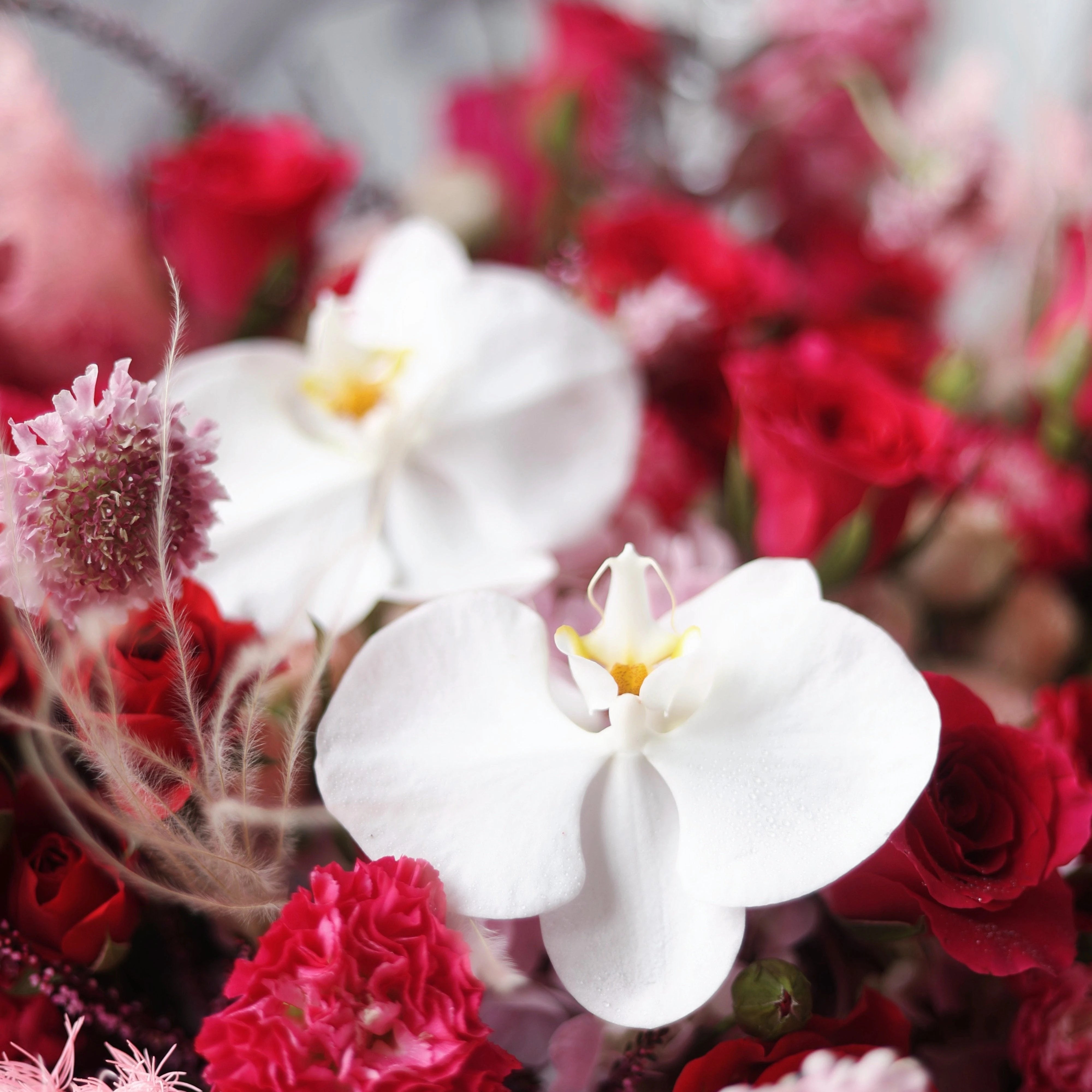 Anniversary Flowers & Gifts