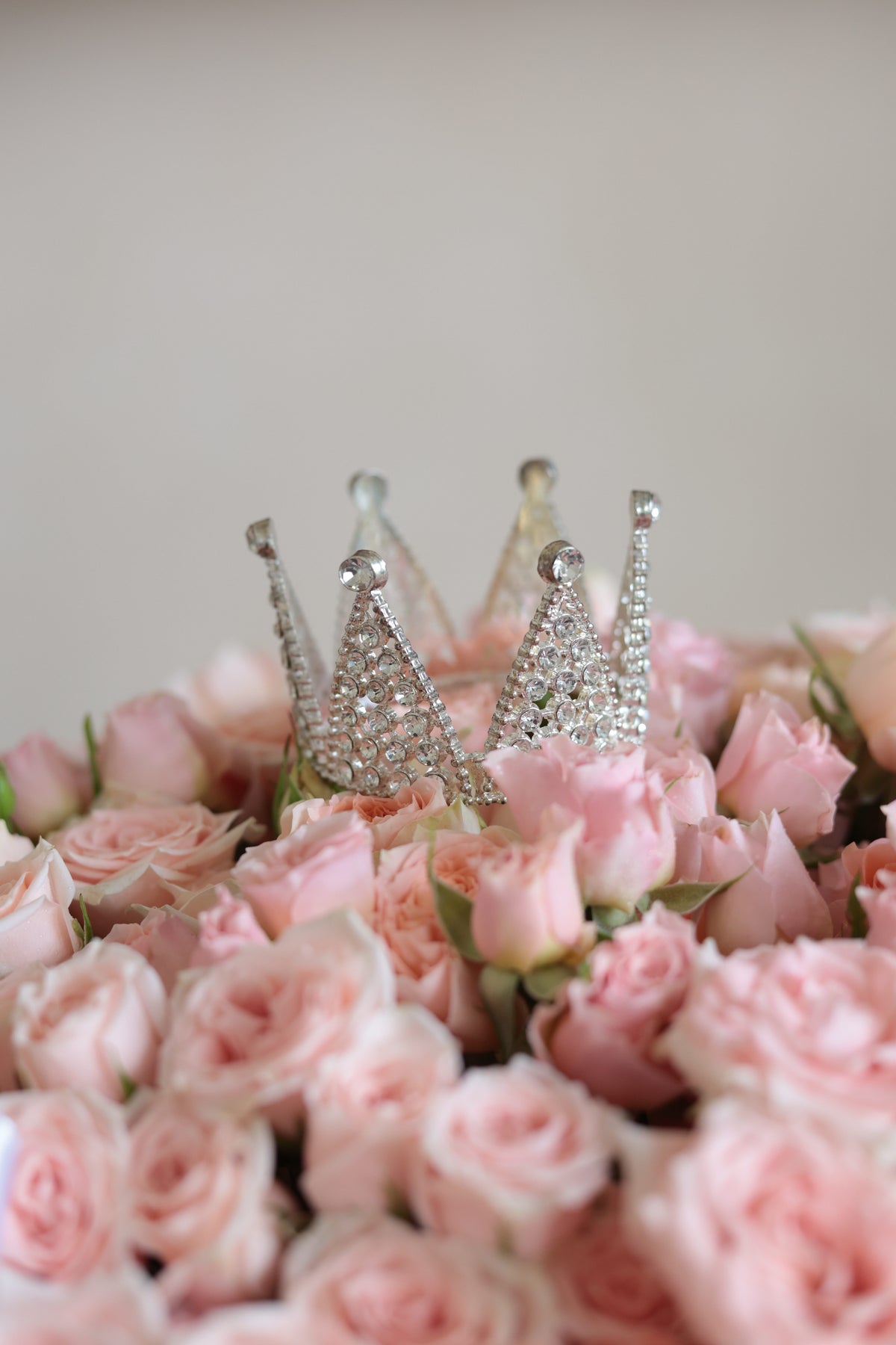 Mini Crown