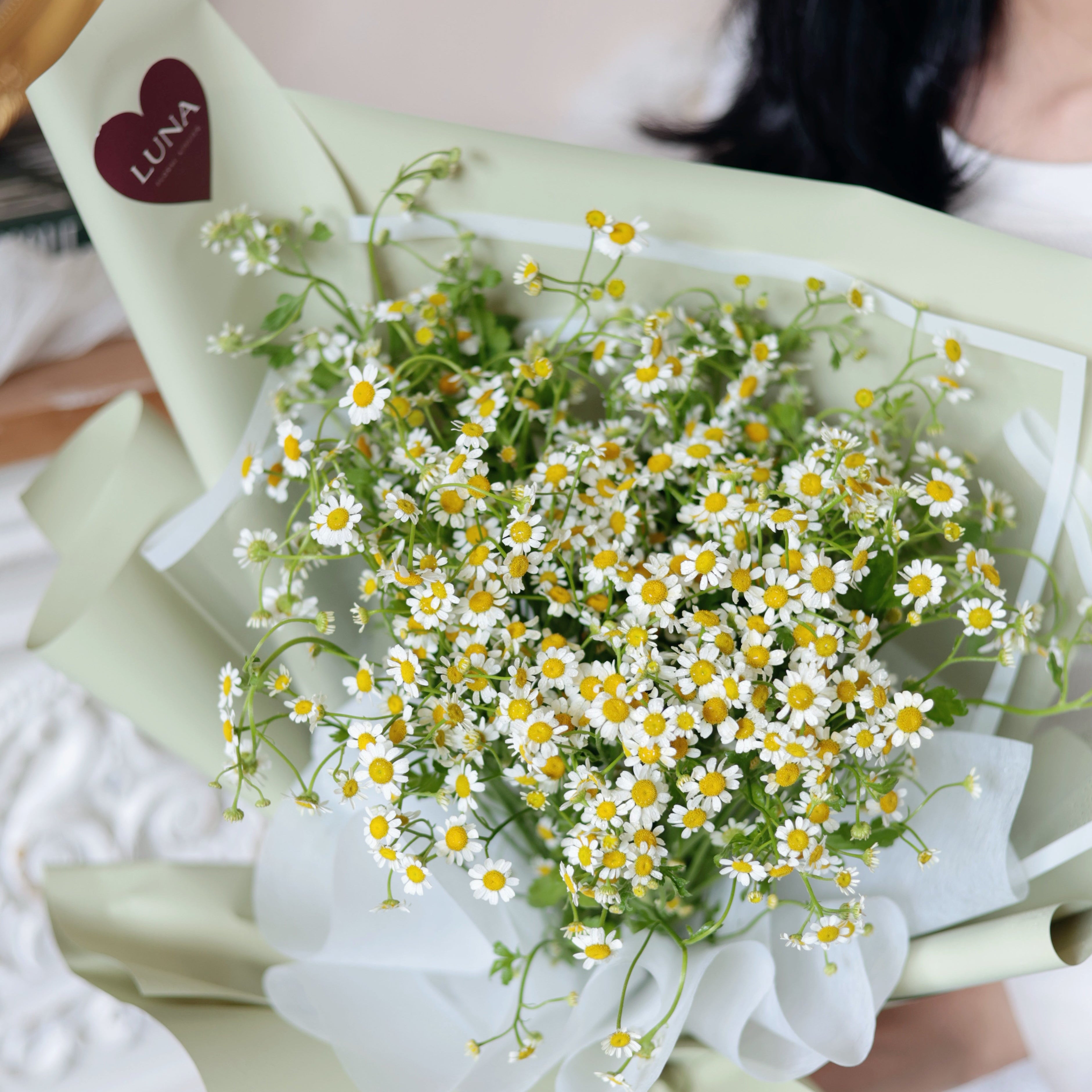 Chamomile