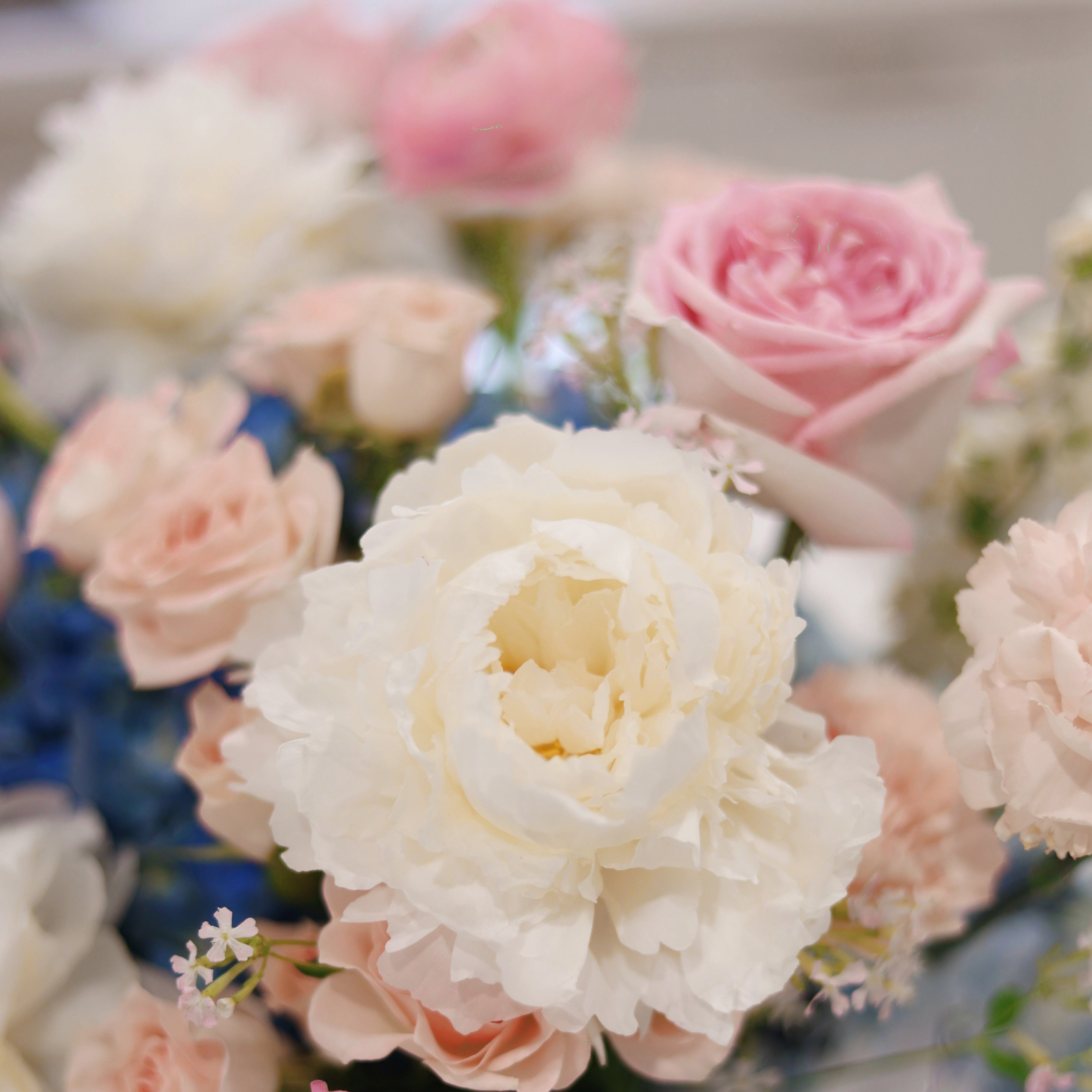Heirloom Bloom