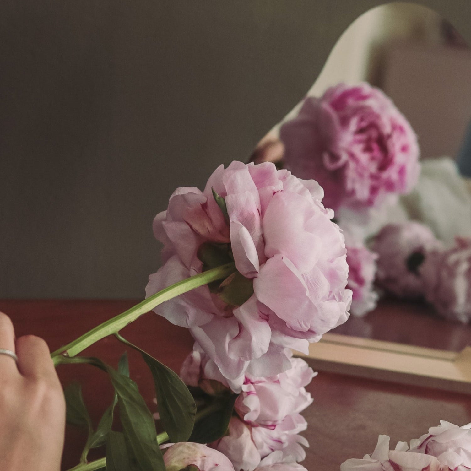 Sarah Bernhardt Peonies