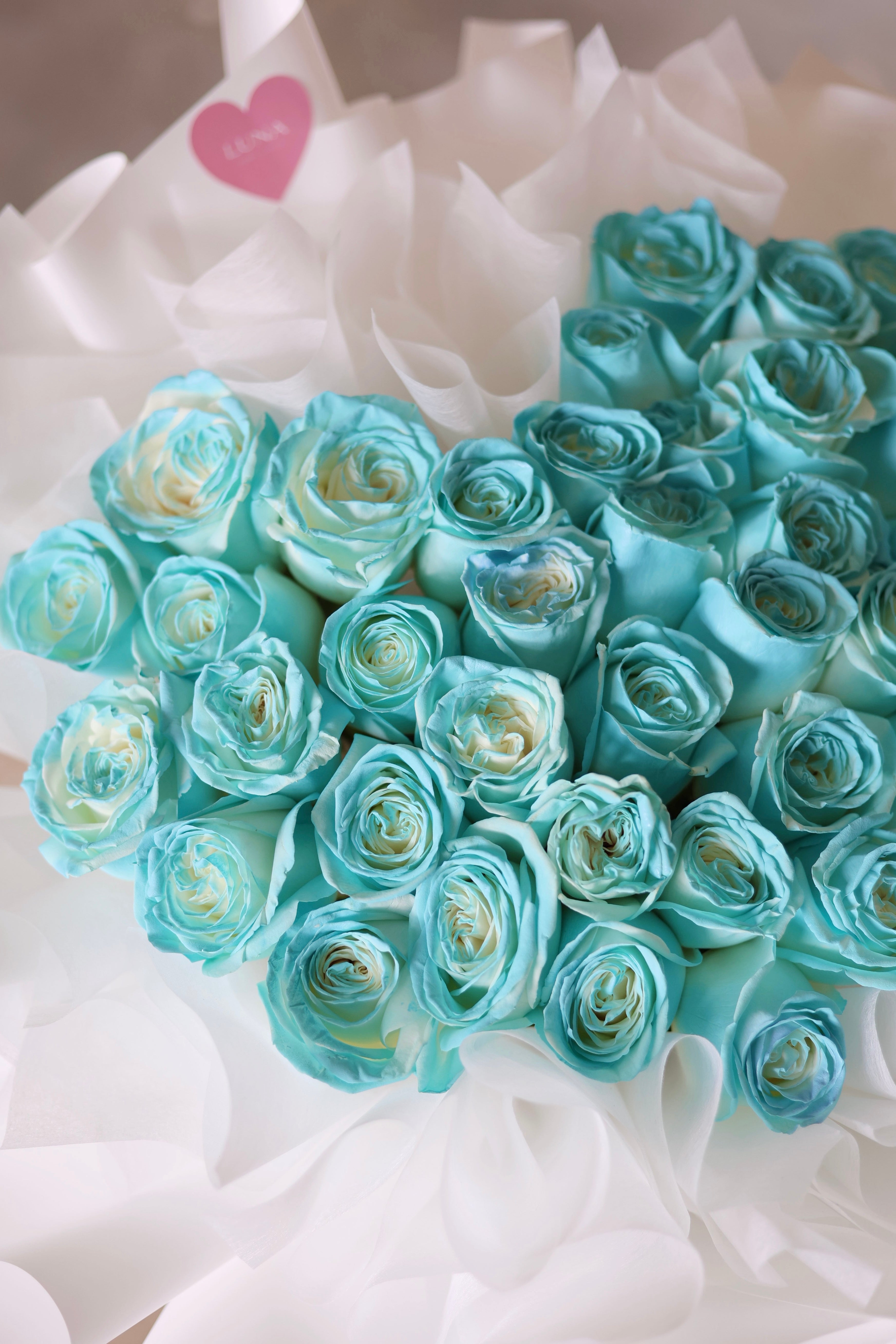 Blue Velvet