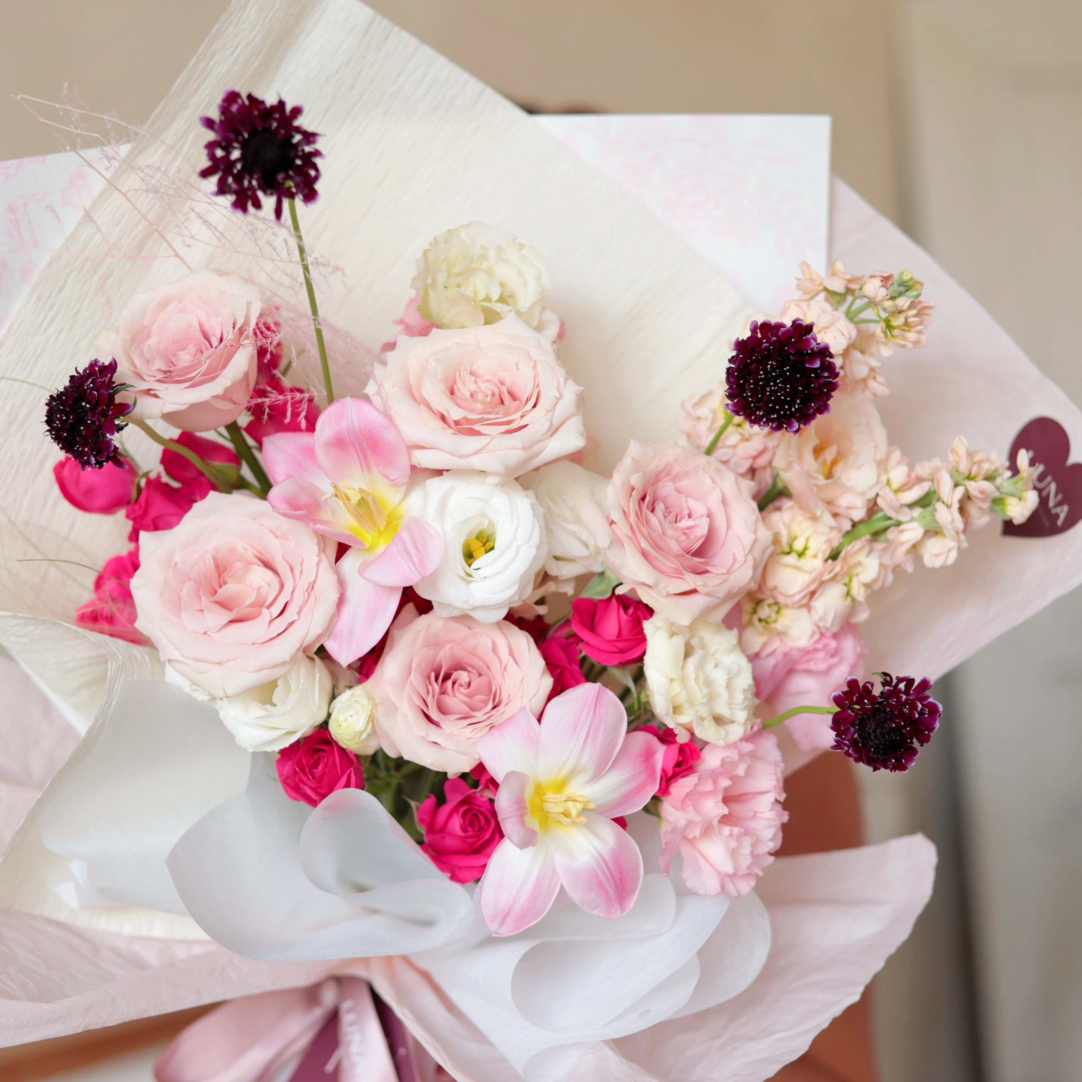 Pink Chiffon
