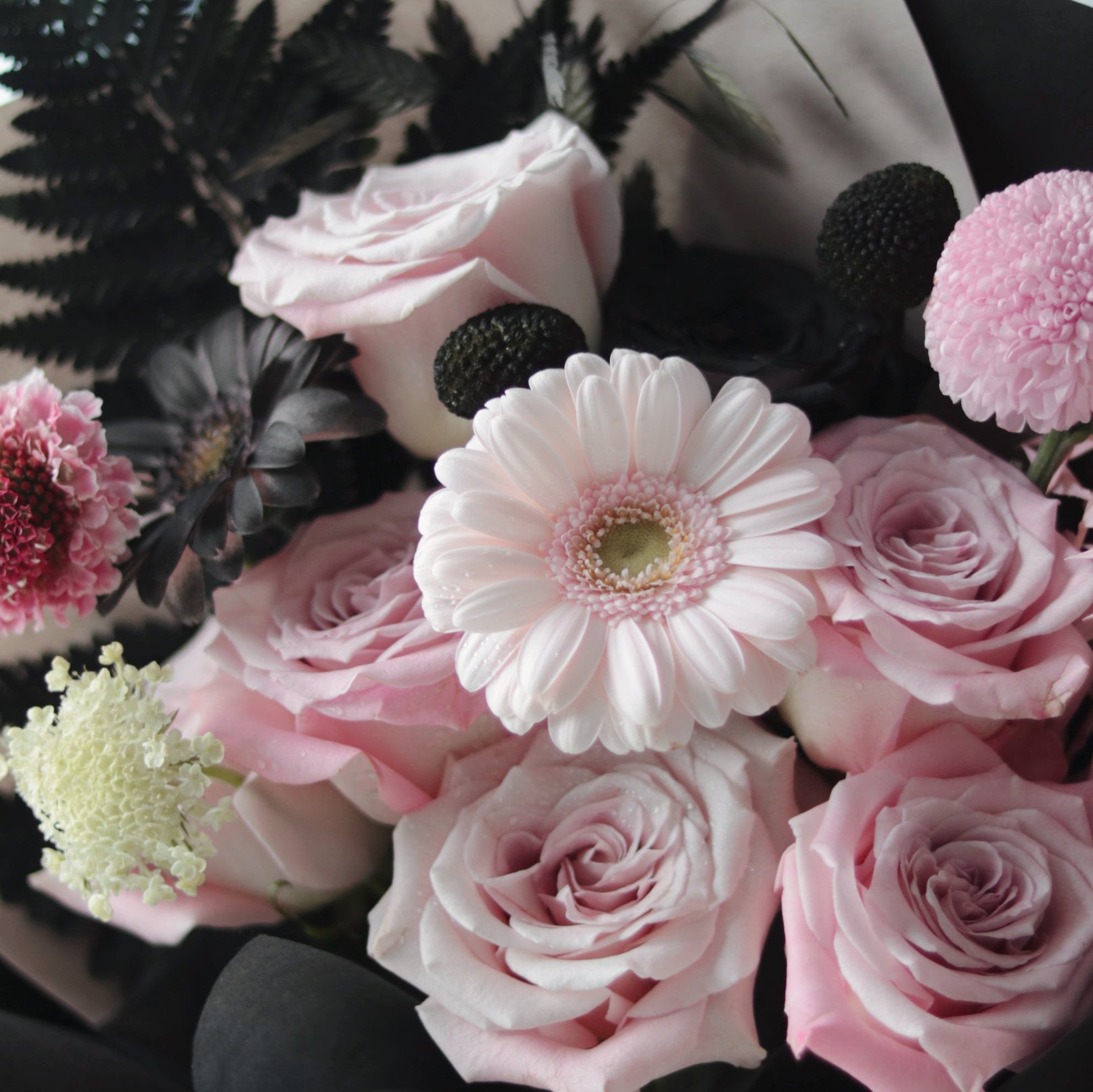 Black Pink