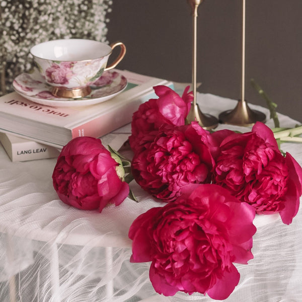 Coral Charm Peonies